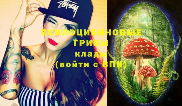 крисы Нея