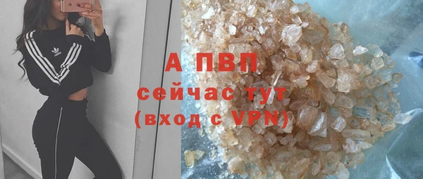 шишки Баксан
