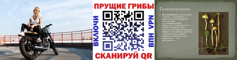 Галлюциногенные грибы Psilocybine cubensis  Наро-Фоминск 